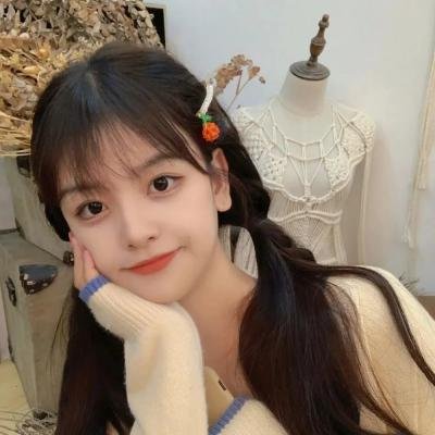 顽皮豹之怀念探长